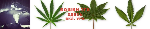 дмт Кукмор