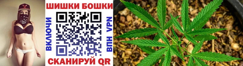 Канабис планчик  Купить  Реутов 